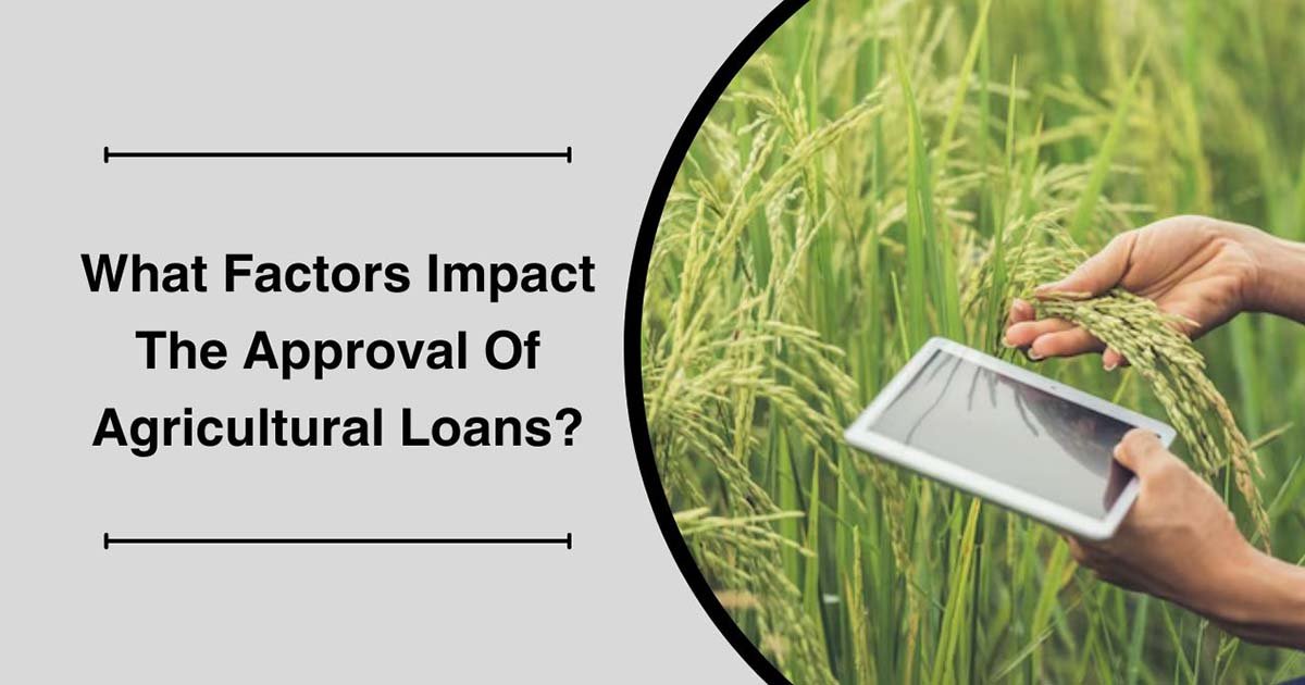 What Factors Impact The Approval Of Agricultural Loans